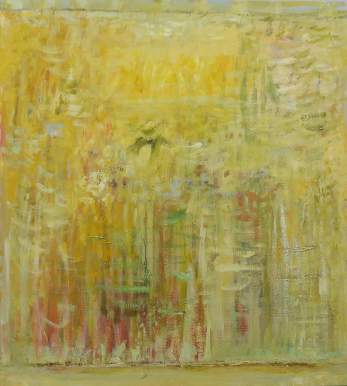 Seeing Through Seeing Through